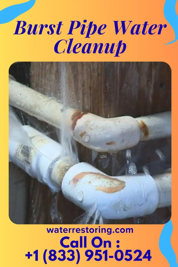 Burst Pipe Water Cleanup in Trenton, GA