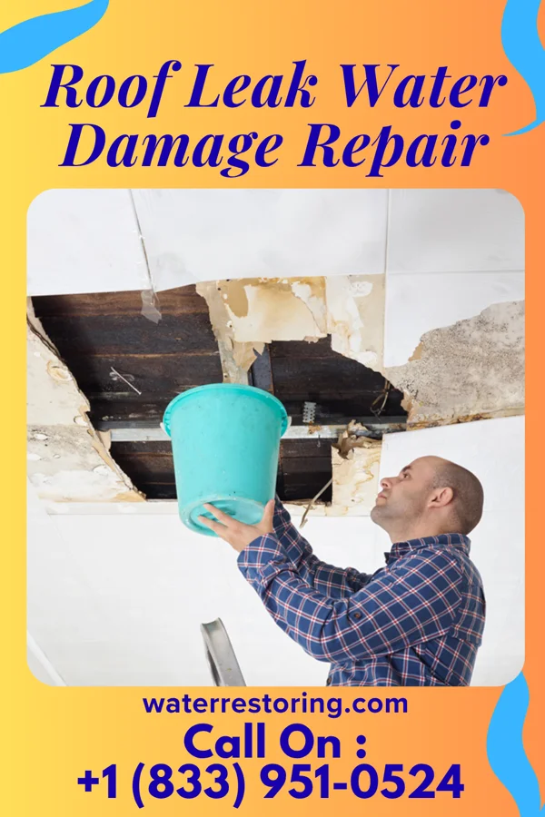 Roof Leak Water Damage Repair in Trenton, GA